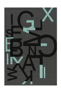 Dywan Amazonka 152016 Szary / Czarny