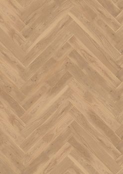 Ter Hürne Herringbone Collection "Dąb Ameland Fischgrät"