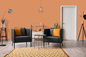 The Color Kitchen "TCK5011 Pretty Pumpkin"