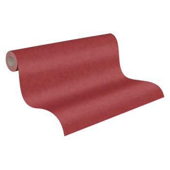 A.S. Création Geo Nordic | 375365 (Oferta specjalna)