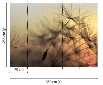 Fototapety FlyingDandelion2 DD118592 A.S. Création Designwalls