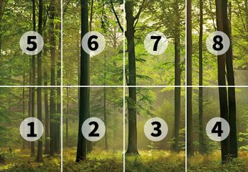 Fototapety Autumn Forest DD118857 A.S. Création Designwalls