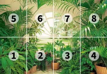 Fototapety Wintergarden DD118862 A.S. Création Designwalls