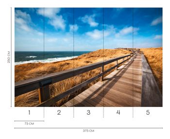 Fototapeta wydmy i plaża w beżowo-niebieskich odcieniach