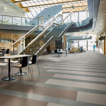 Forbo Marmoleum Modular "t3745 Cornish grey" (50 x 50 cm)