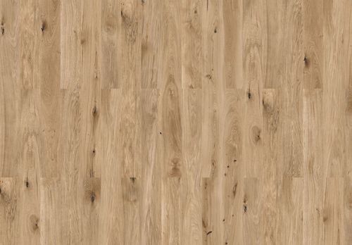 Cortex Designatura Eco "80004131 Dąb Merkury"