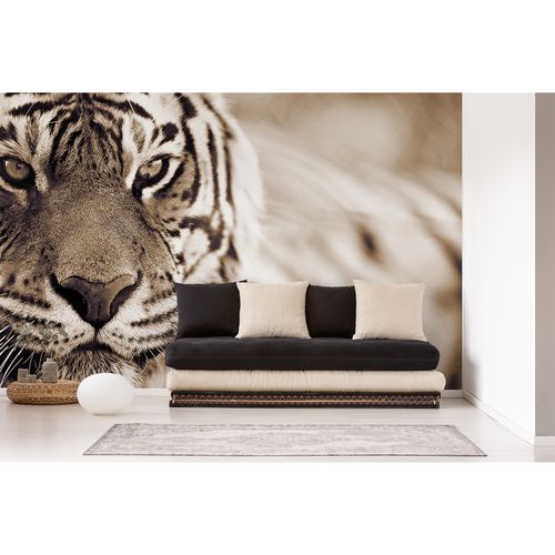 Fototapety Tiger DD114684 A.S. Création XXL 5