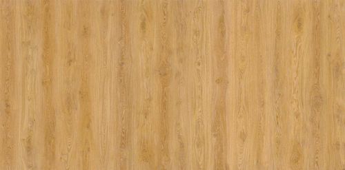 Cortex Designatura Basic "80003026 Dąb Select"