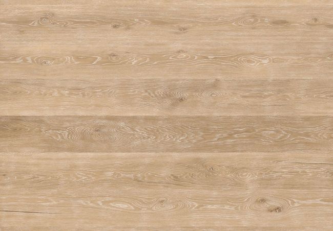 Cortex Designatura Basic "80003041 Dąb Bieleniony"