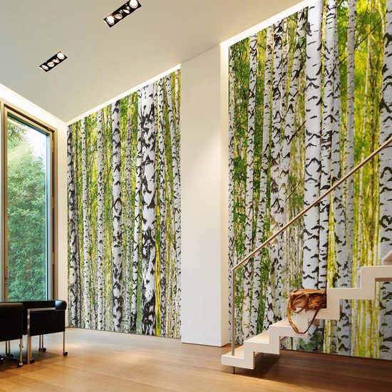 Fototapety BirchForest DD109165 A.S. Création AP Digital 4