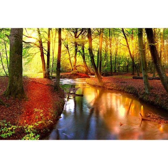 Fototapety ForestStream DD114972 A.S. Création XXL 5