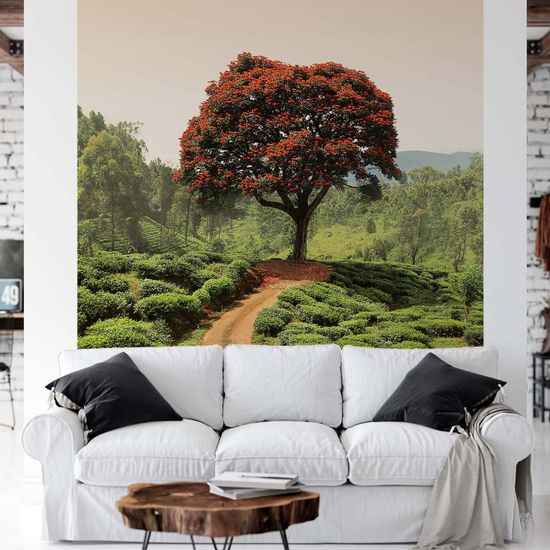 Fototapety Red Tree And Hills In Sri Lanka DD119062 A.S. Création Designwalls