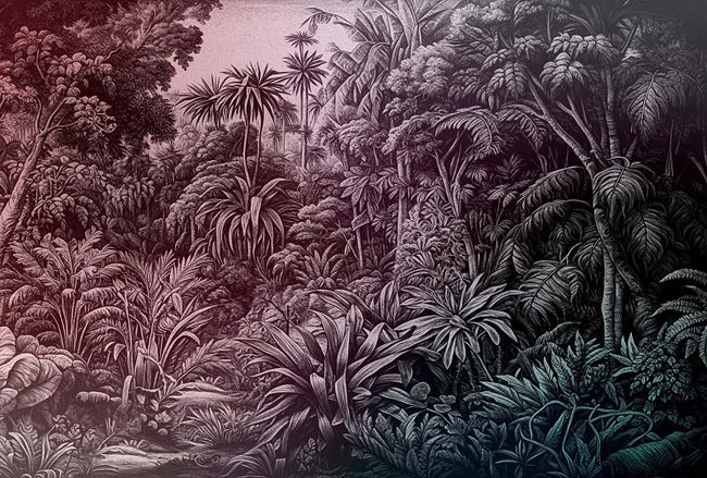 Fototapety Walls by patel 4 "DD128013" Livia